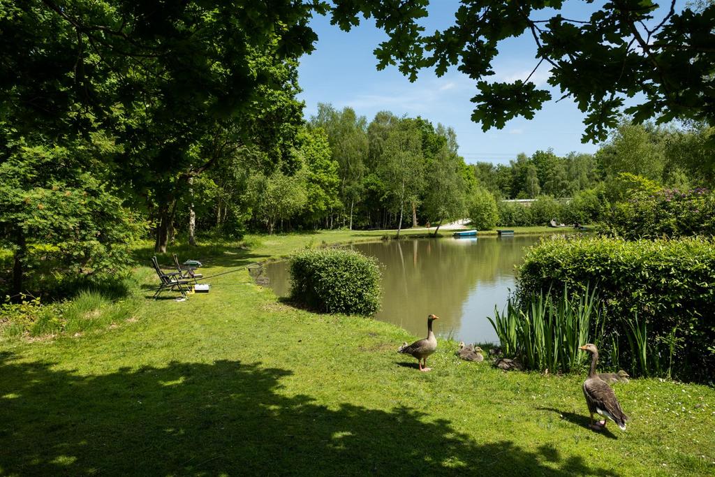 Great Wood Eco Lodges