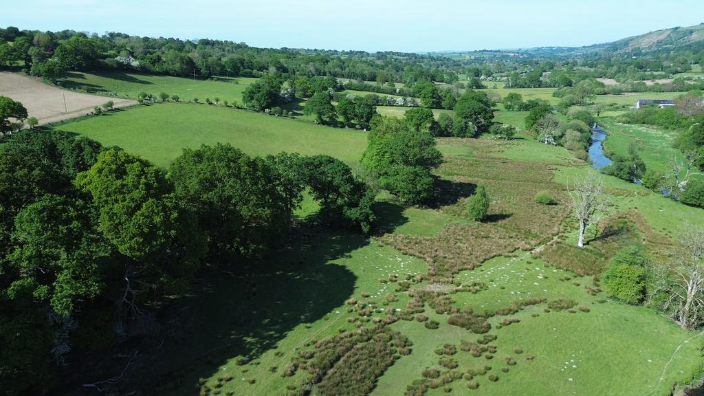 River meadows