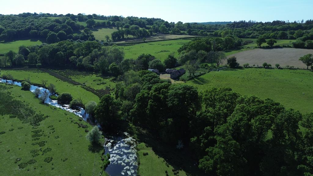 Woodland fishing beat to the south