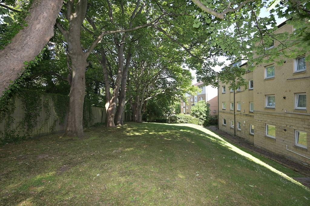 MFL5245647 095.jpg
