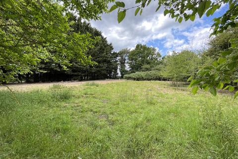 undefined, Smallworth Common, Garboldisham