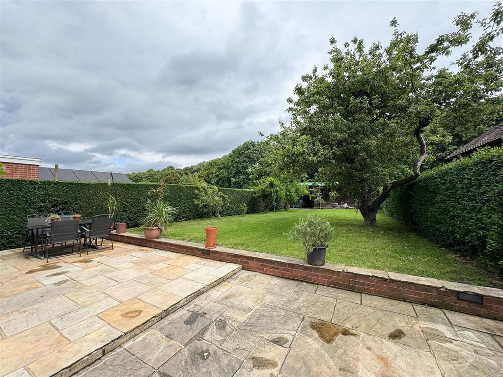 Back garden...jpg