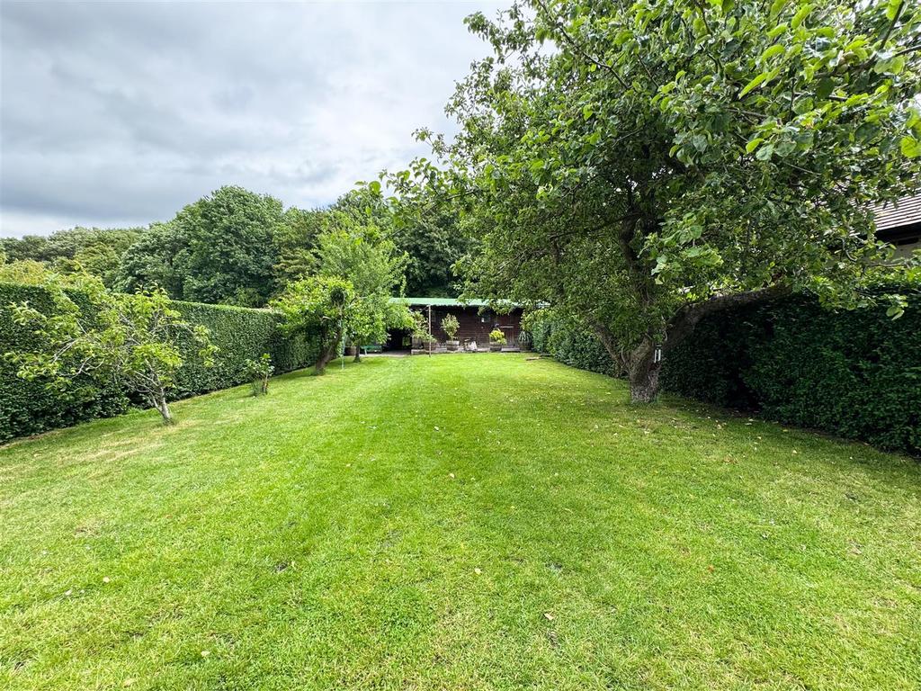 Back garden.jpg