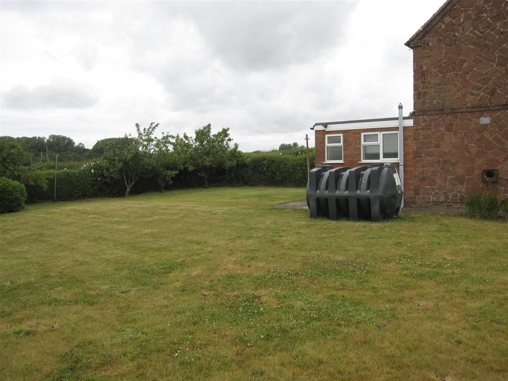 Garden 2.JPG