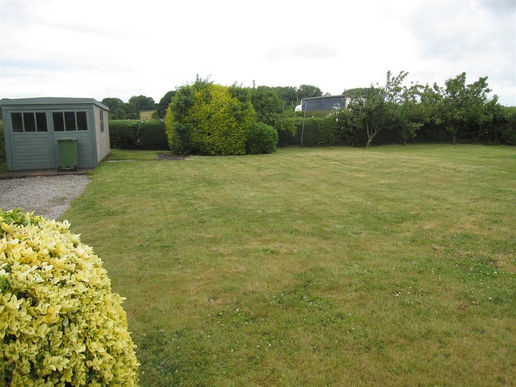 Garden.JPG