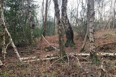 undefined, Woodland, Lyndene Drive, Lindale, Grange-over-Sands, Cumbria, LA11 6QP