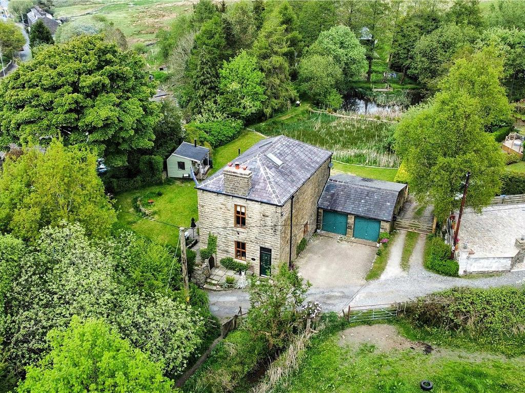 Aerial Image