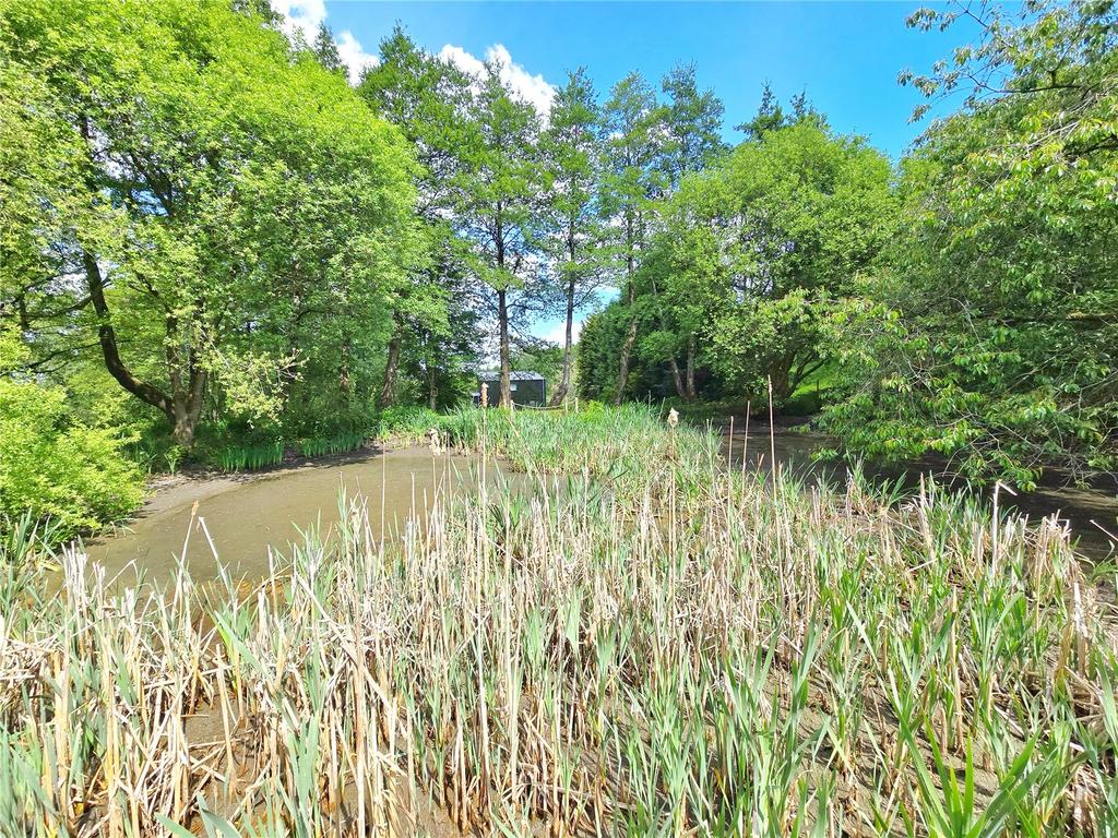 Large Mill Pond