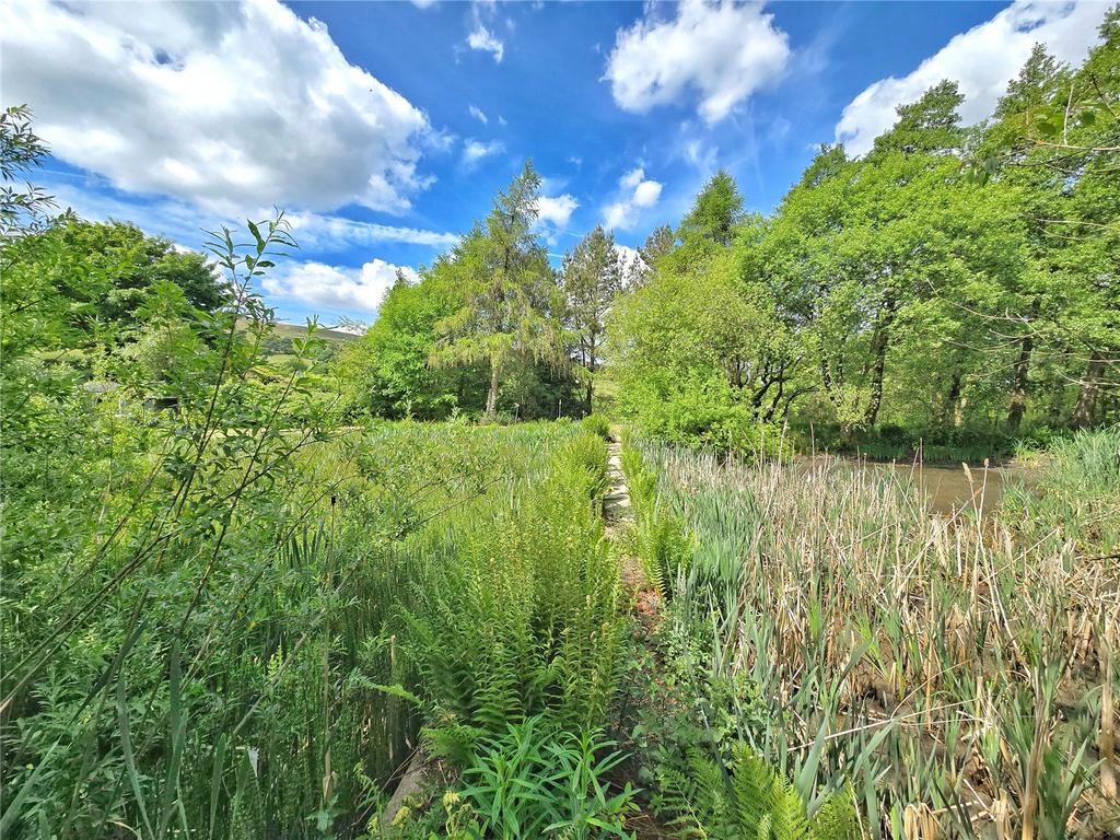 Large Mill Pond