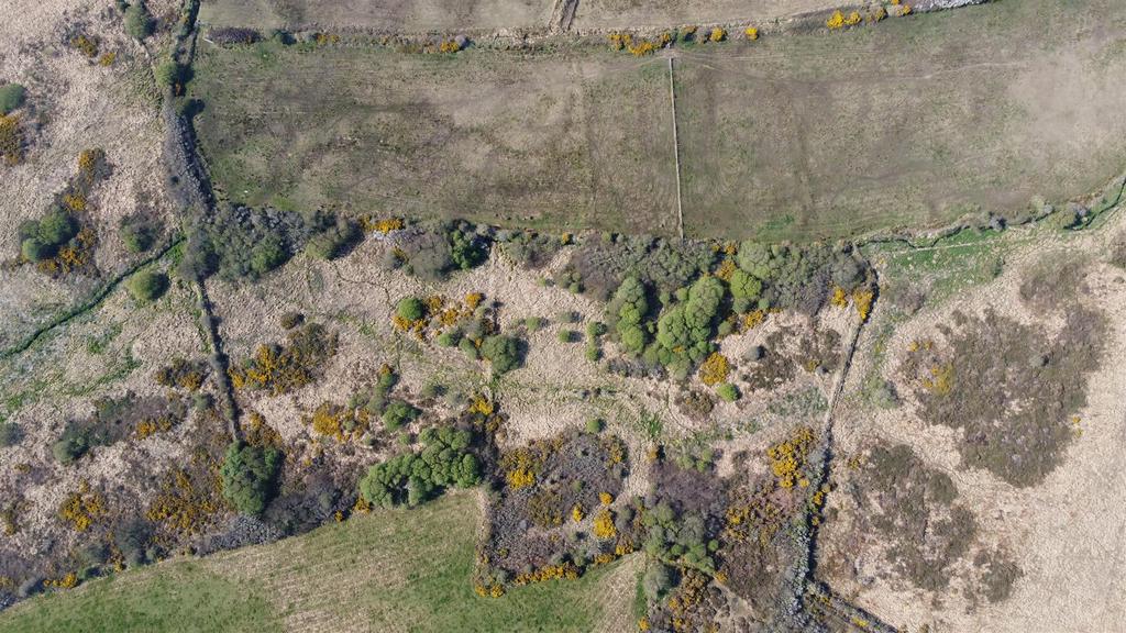 LOT 4 - 4.66 Acres