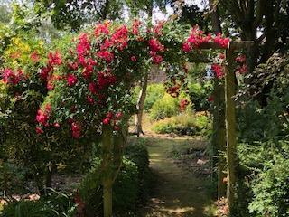 Rose Pergola.jpg