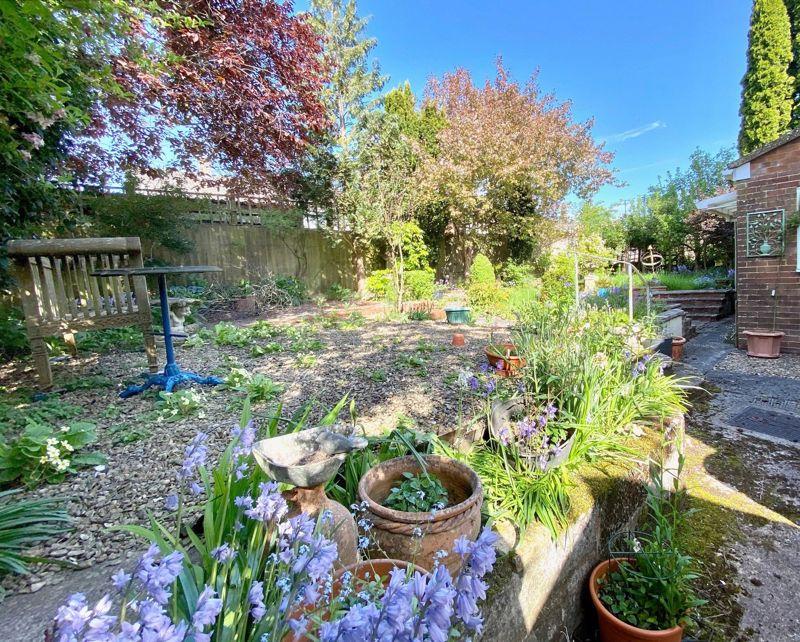 The Rear Garden