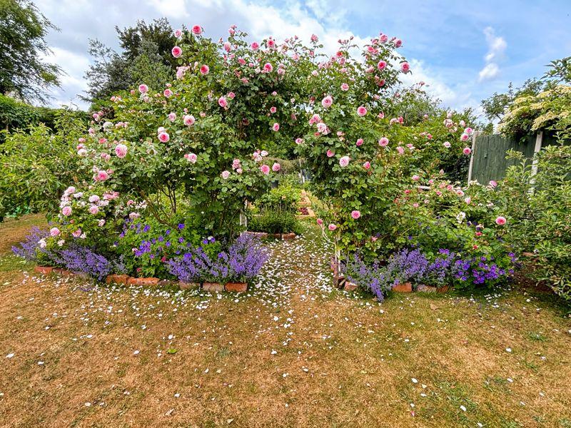 Photo 29