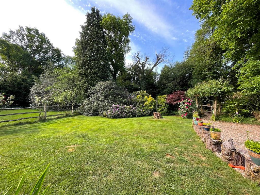 New garden.jpg