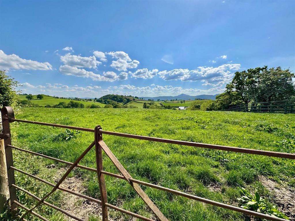 PHOTO-2025-05-13-20-19-01 (1).jpg