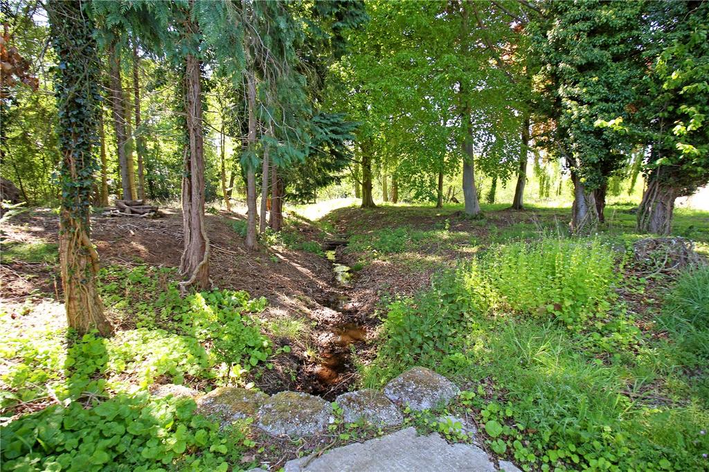 Woodland