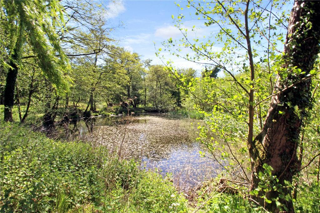 Pond