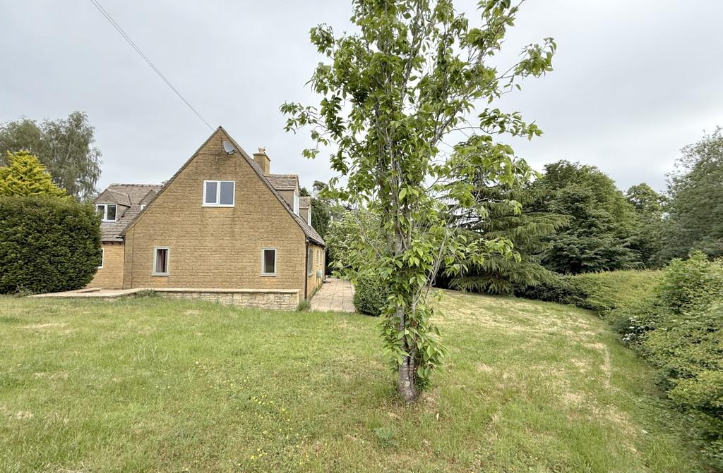 Rear garden 2