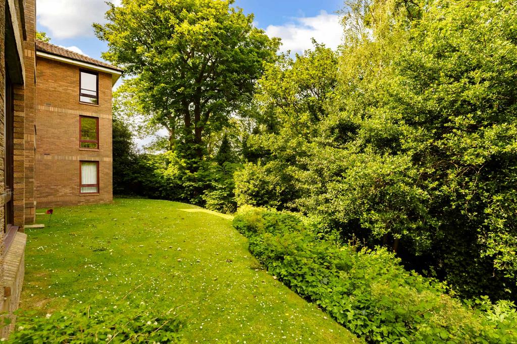 Property Image 19