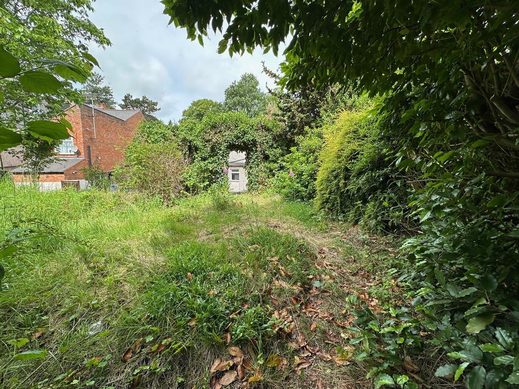 Garden 3 T202506011436.jpg