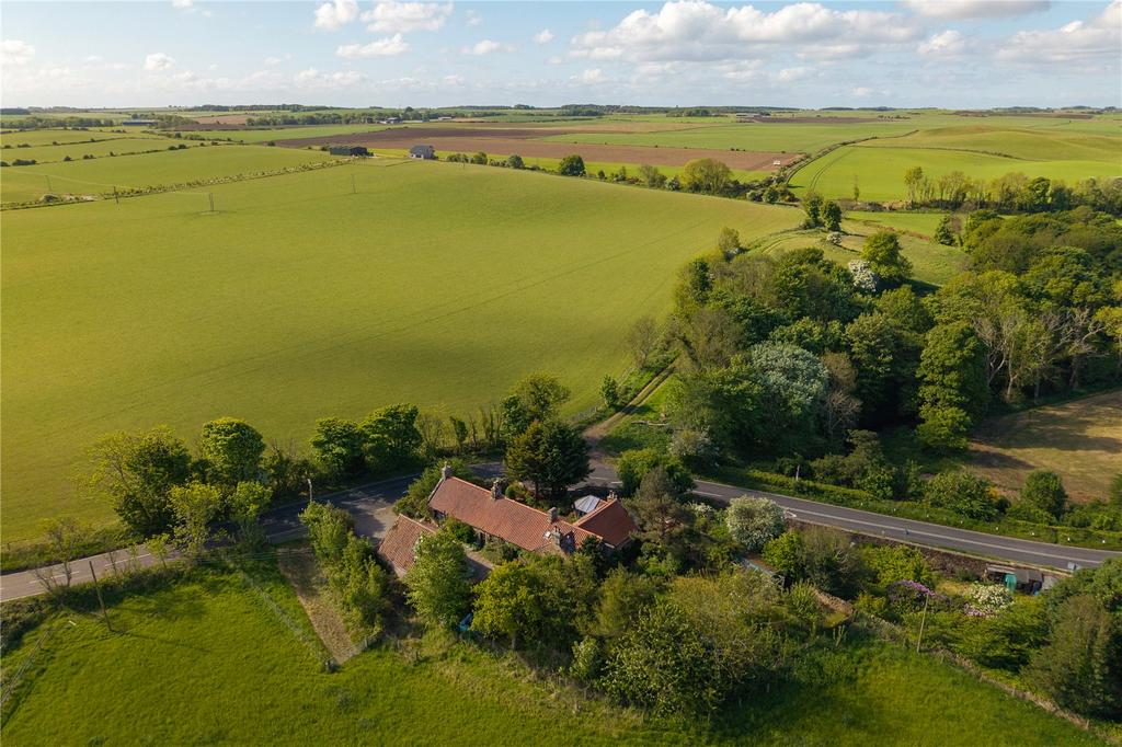 Surrounded By Fields