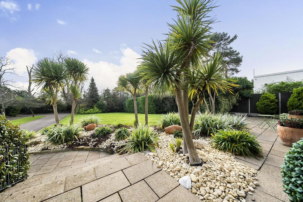Garden view, garden