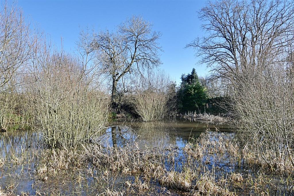 Duck Pond.jpg