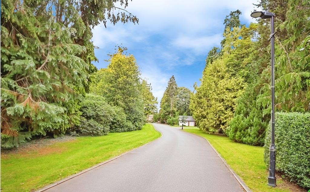Driveway