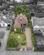 Additional image 22 of Dumont Avenue, St Osyth, CO16 8JR