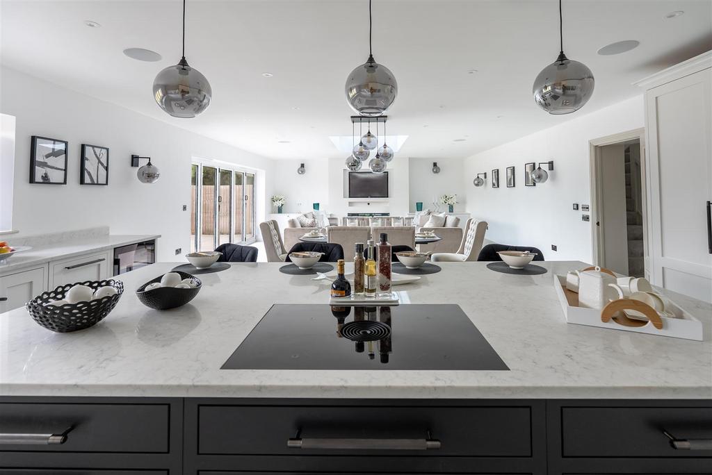 Luxury Kitchen/ Dining/ Entertainment Room