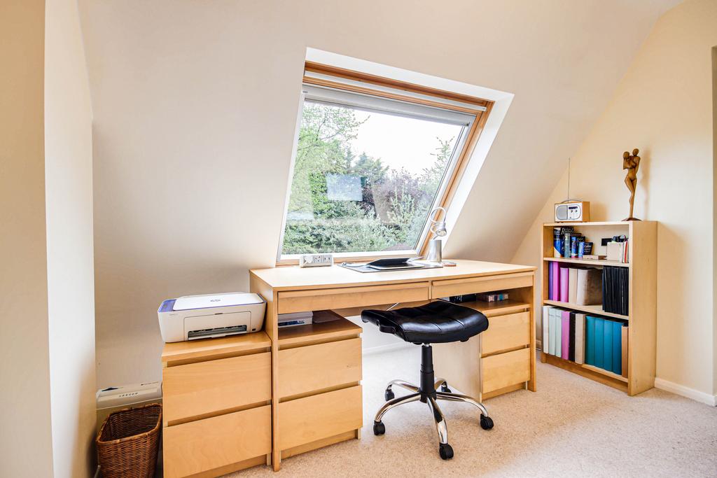 Study area