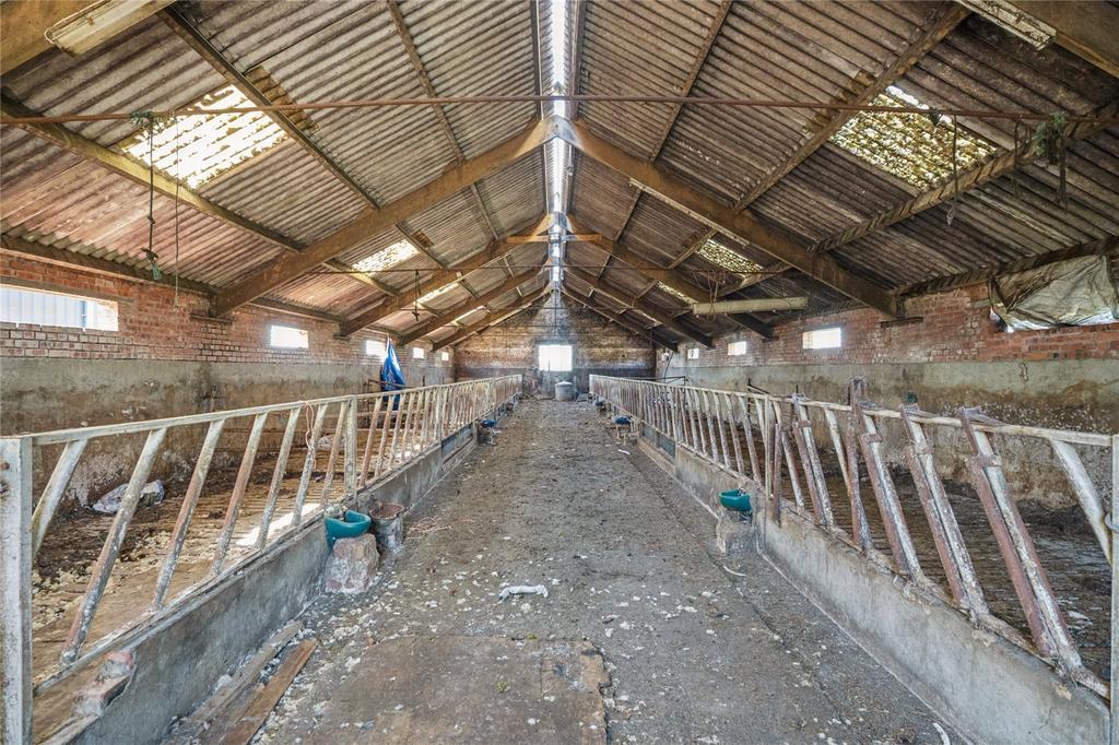 Cow Shed