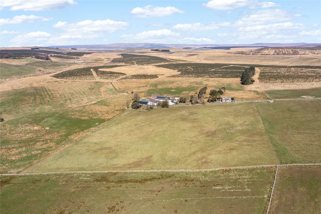 Aerial Shot