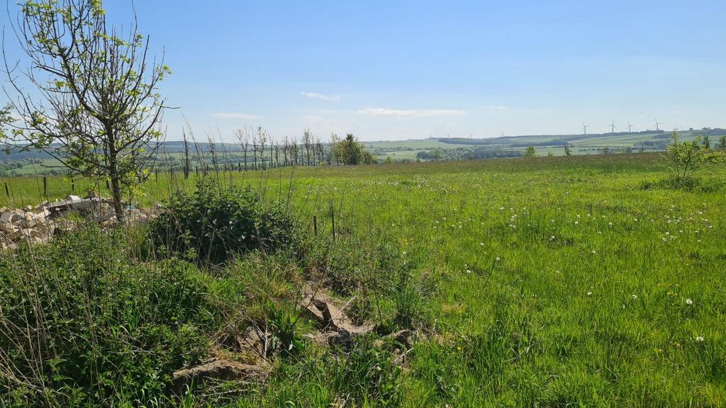 4.9 Acres of Agricultural Land