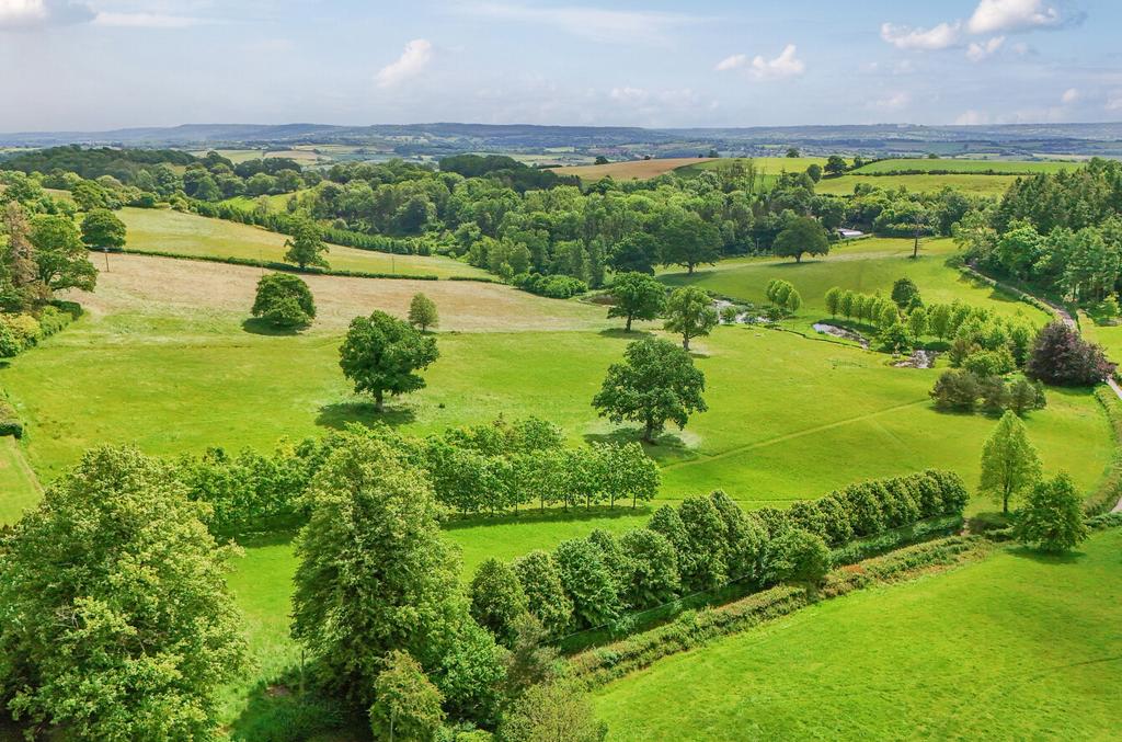 Hockworthy, Seddons