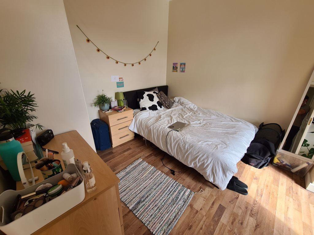 Bright and cozy single bedroom featuring a comf...