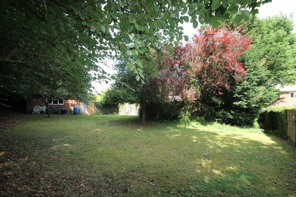 .garden2.JPG