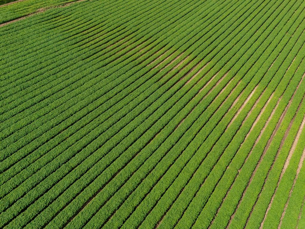 Land