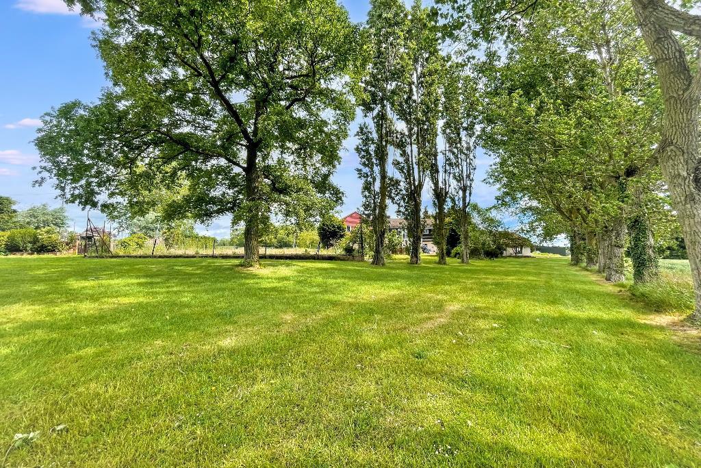 Rear shot 3 (Portal Size).jpg