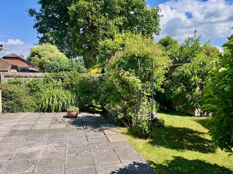 The Rear Garden
