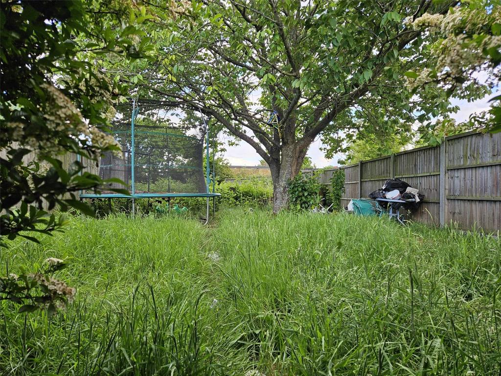 Garden (2)