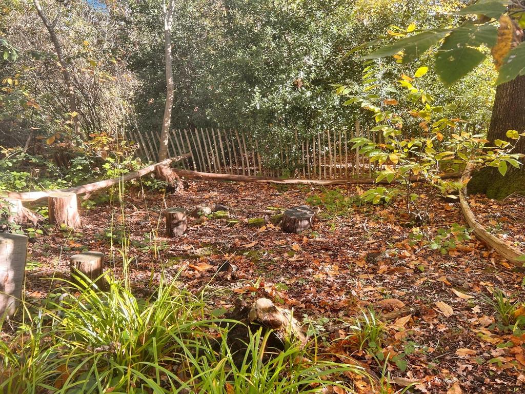 Woodland