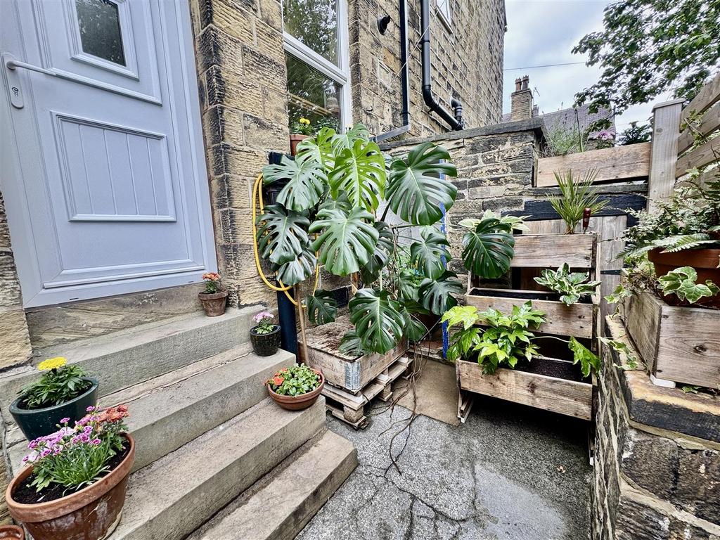 Rear Yard