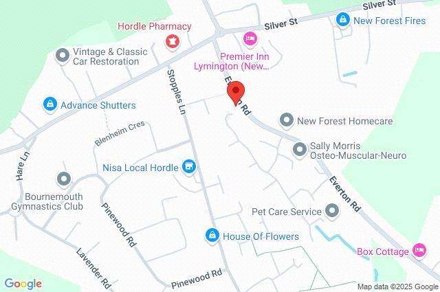 Google Maps Image