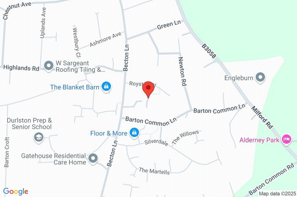 Google Maps Image