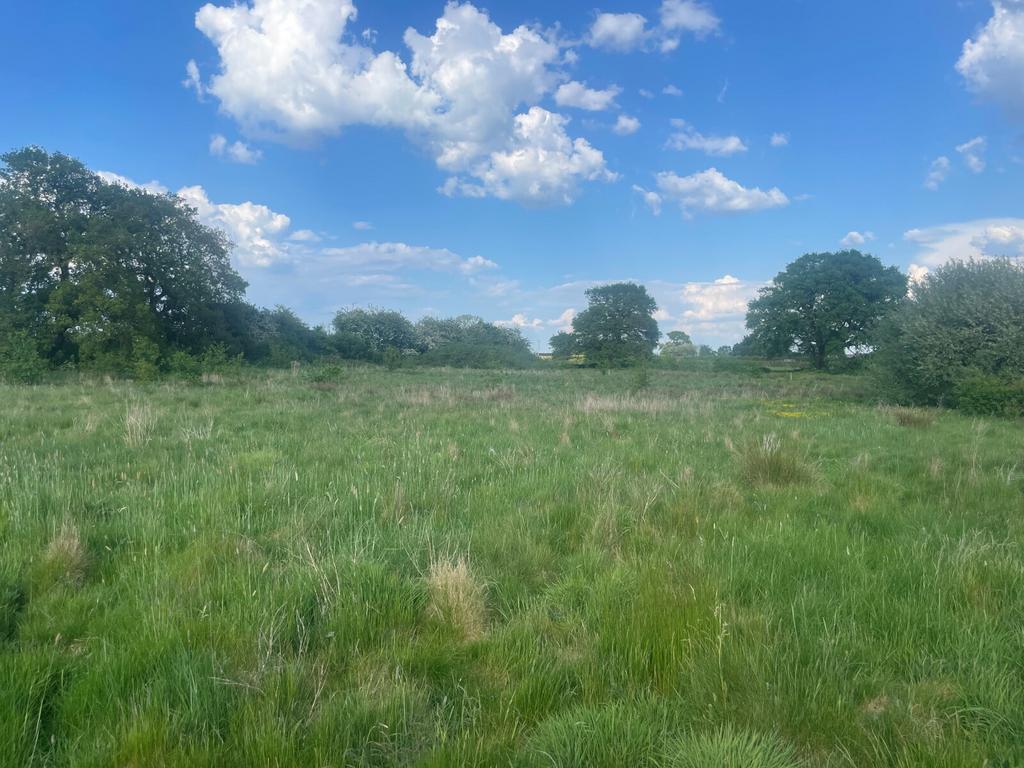 Lot 5
