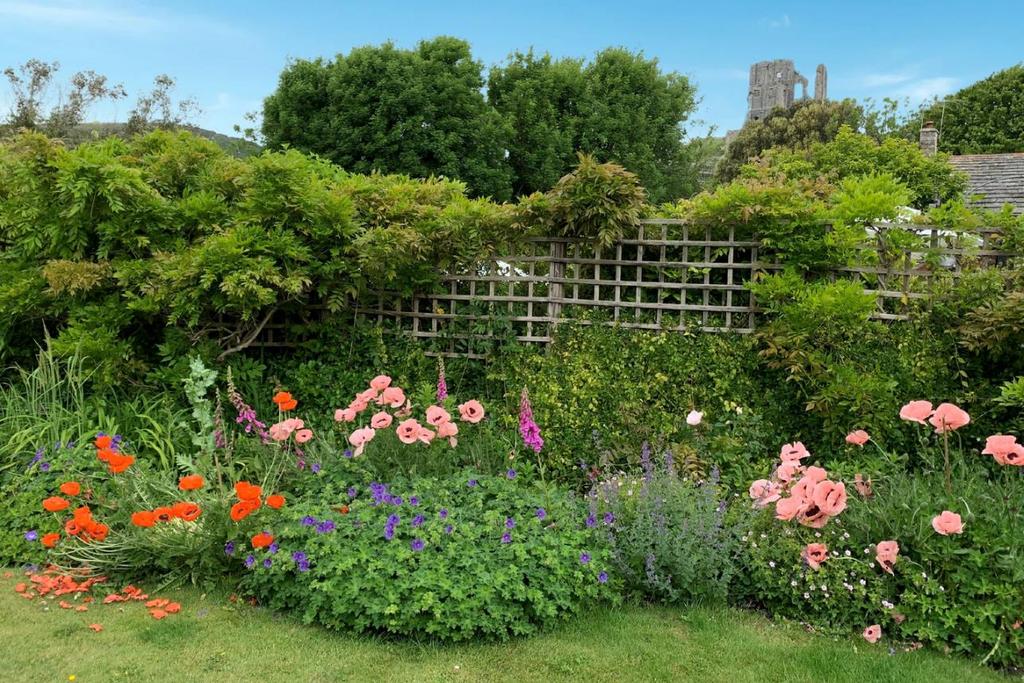 Corfe garden 1.png