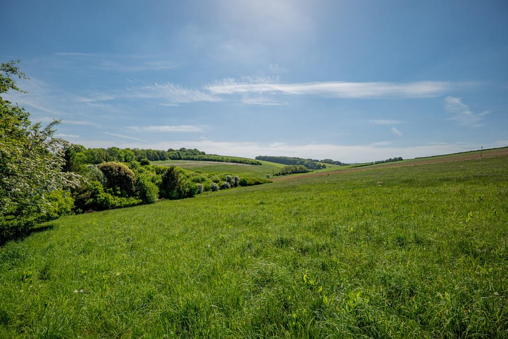 Paddock