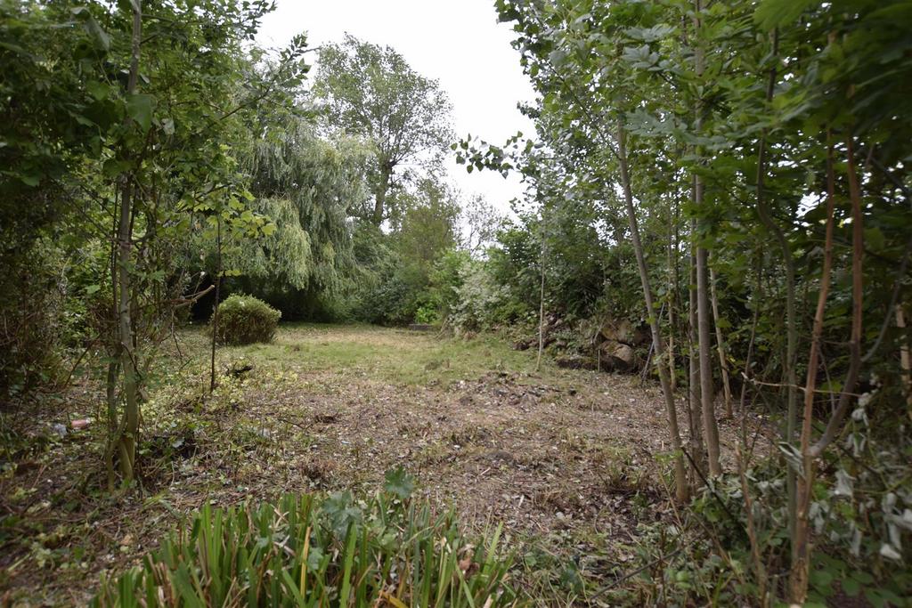 Rear garden.jpg