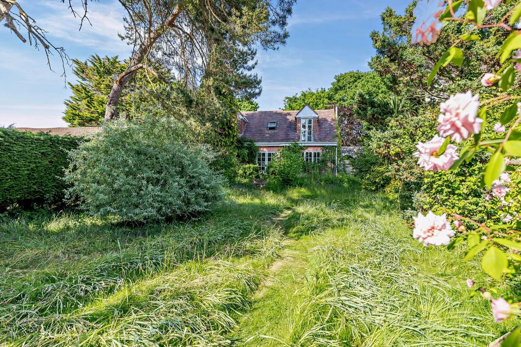 Cottage Garden